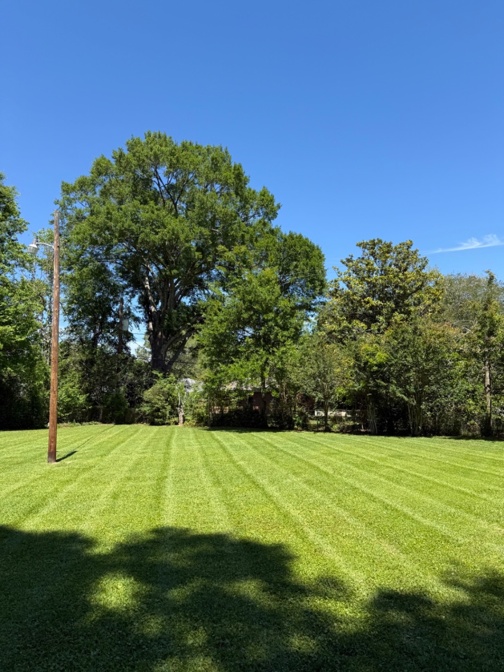 Beautiful manicured lawn - After