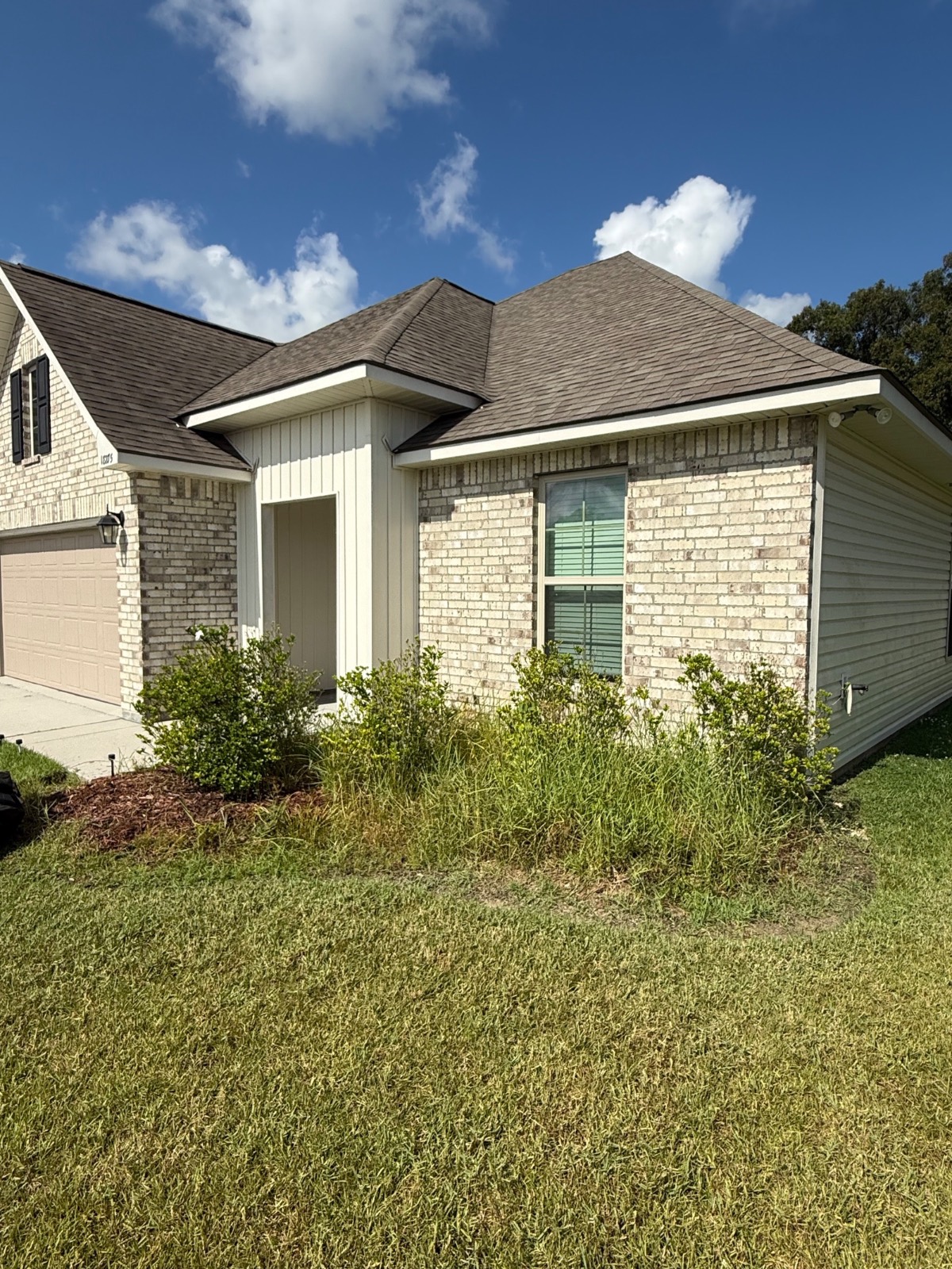 Mulching & Seasonal Cleanup transformation Before