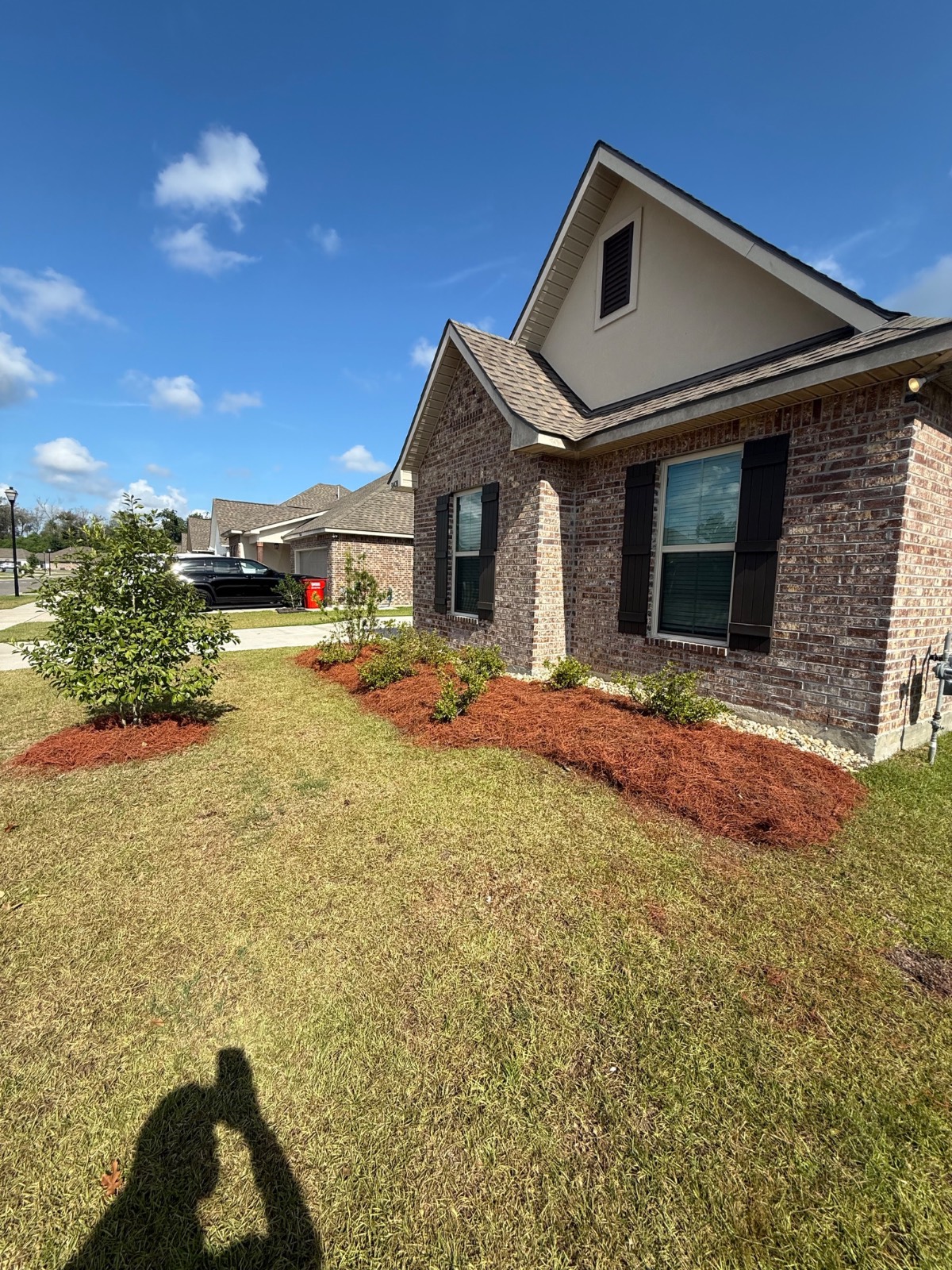 Mulching & Seasonal Cleanup transformation After
