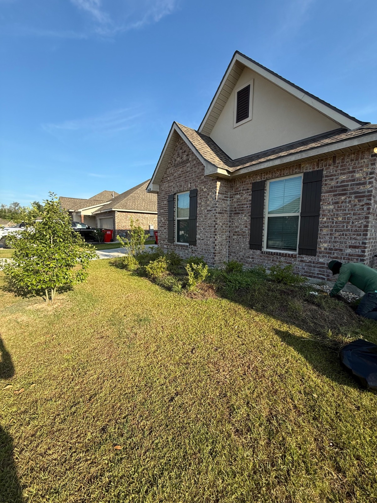 Mulching & Seasonal Cleanup transformation Before