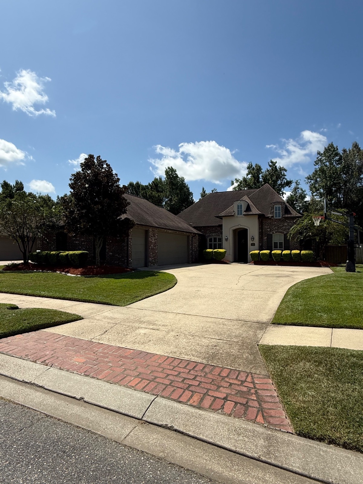 Mulching & Seasonal Cleanup transformation After