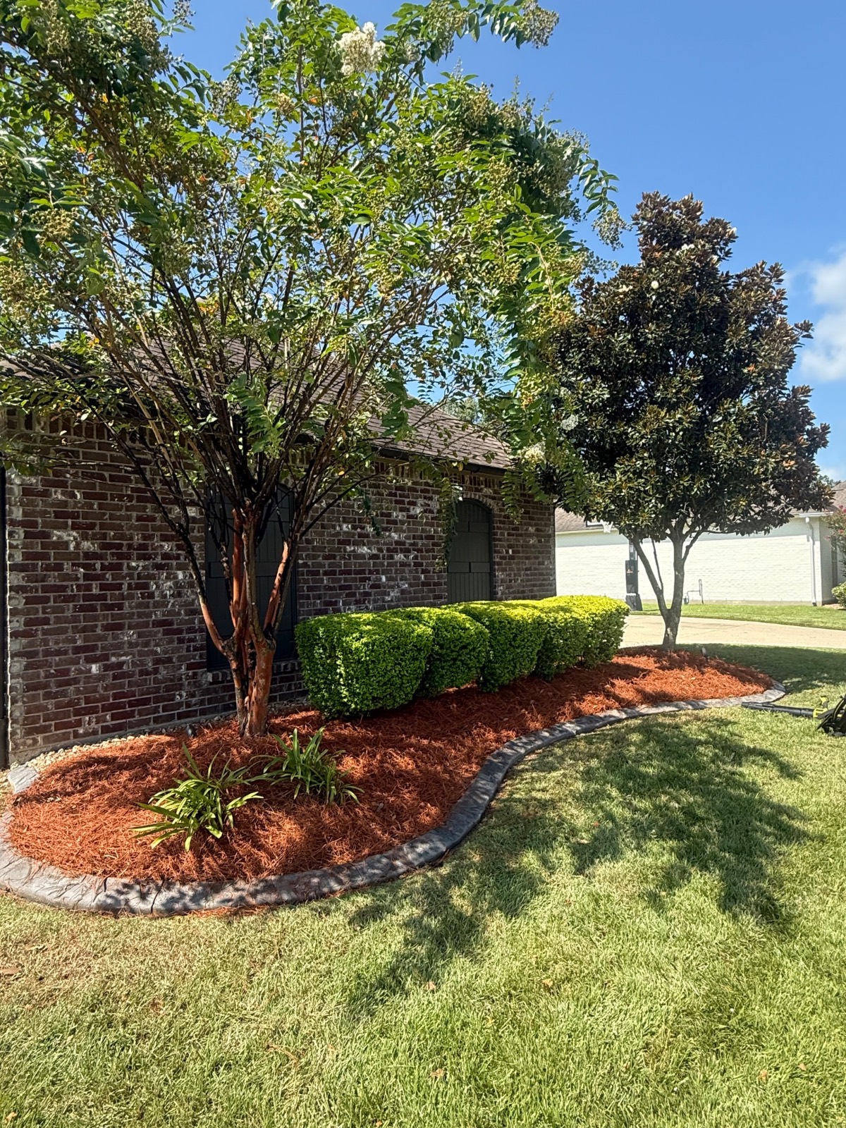 Mulching & Seasonal Cleanup transformation After