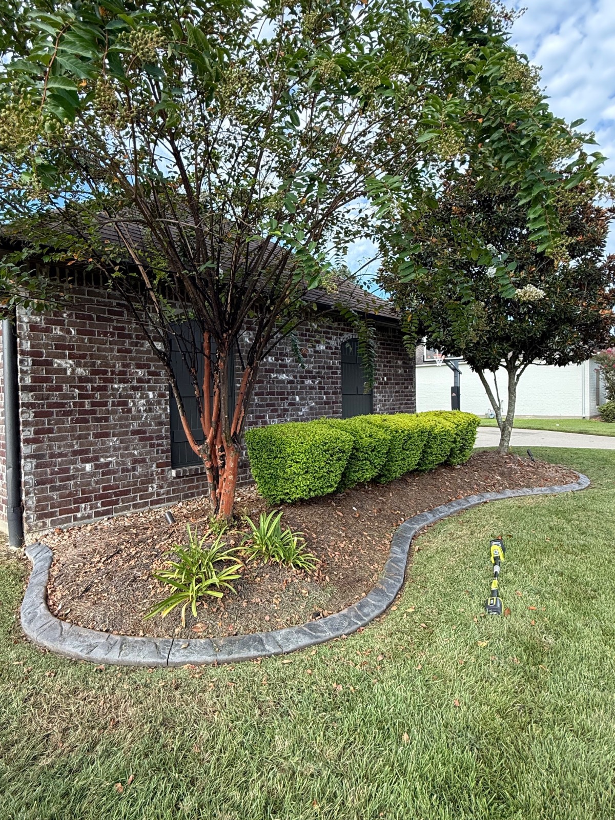 Mulching & Seasonal Cleanup transformation Before