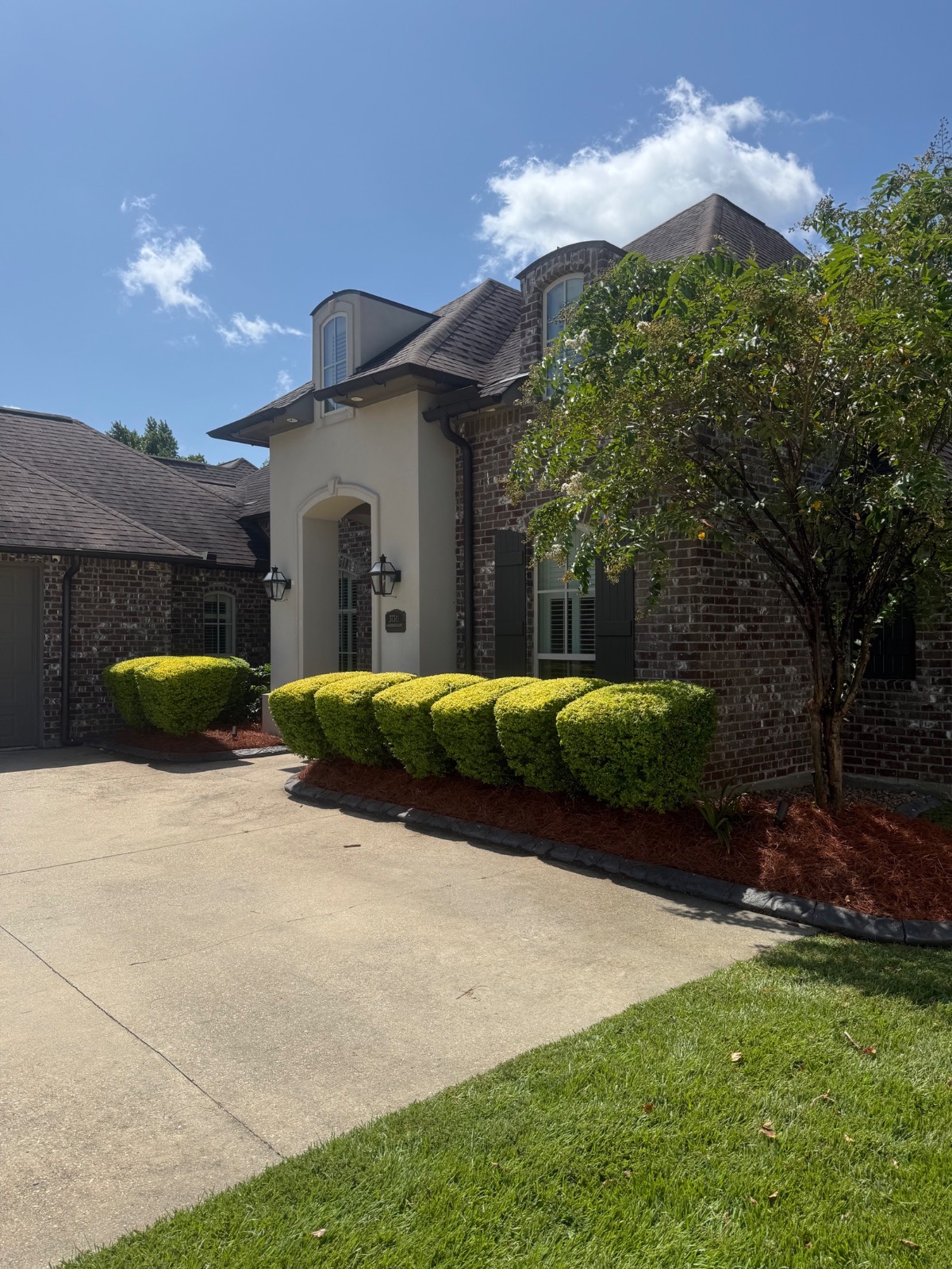 Mulching & Seasonal Cleanup transformation After