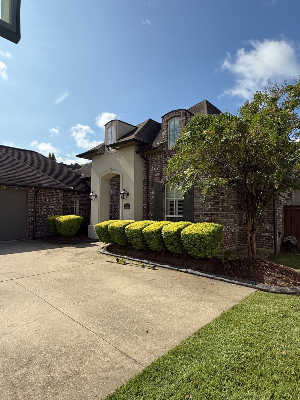 Mulching & Seasonal Cleanup transformation Before