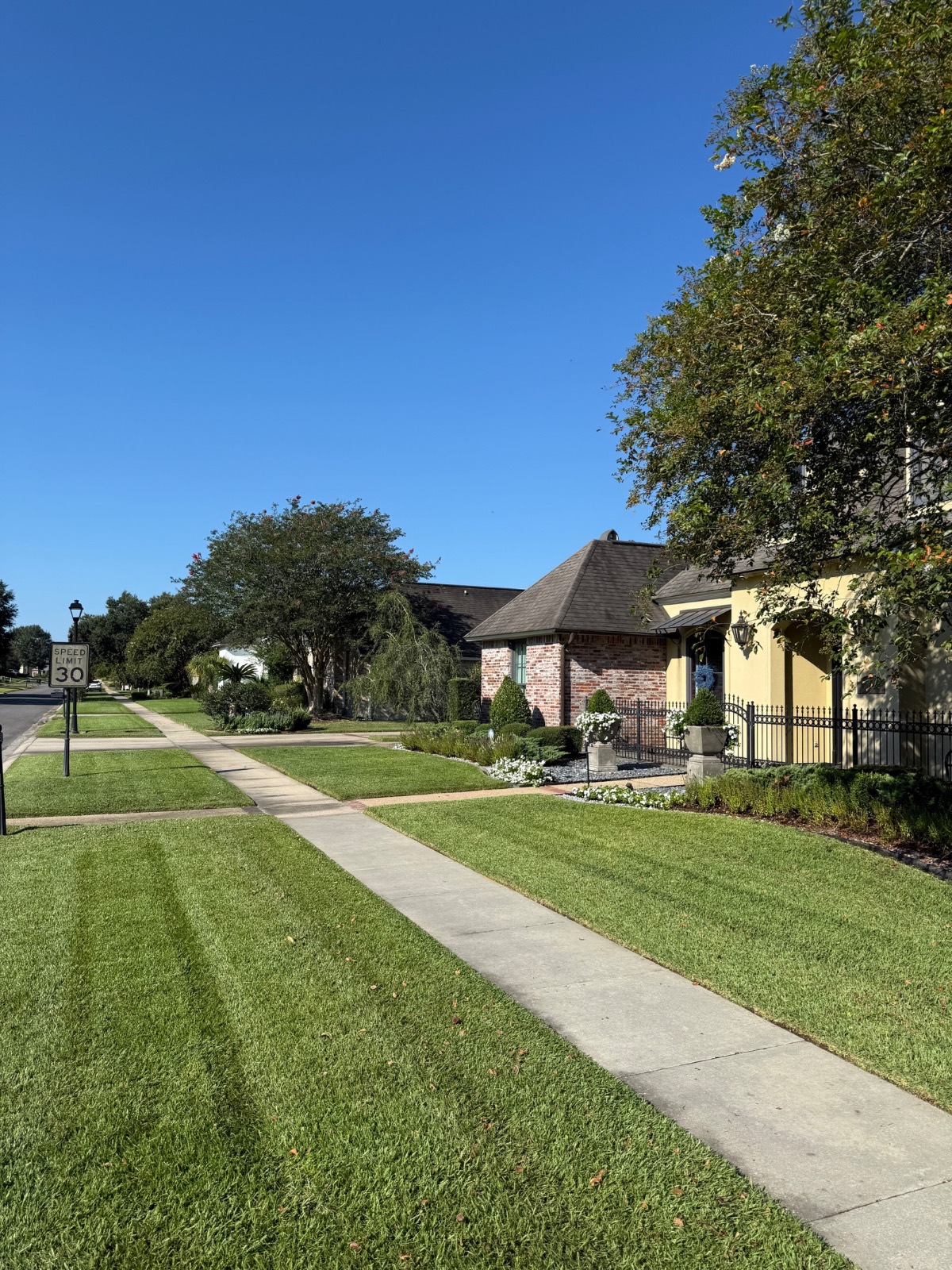 Lawn Mowing & Edging transformation After