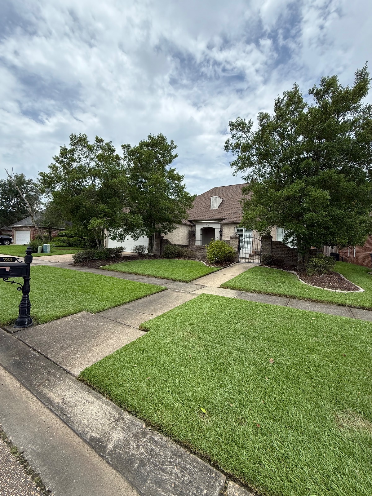 Lawn Mowing & Edging transformation After