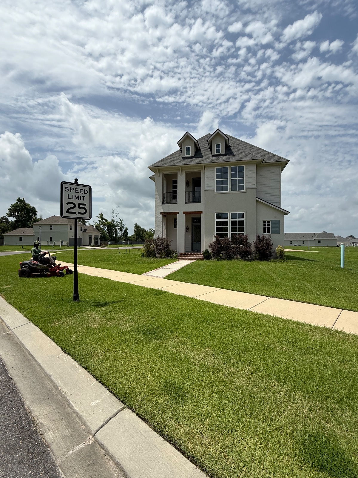 Lawn Mowing & Edging transformation Before