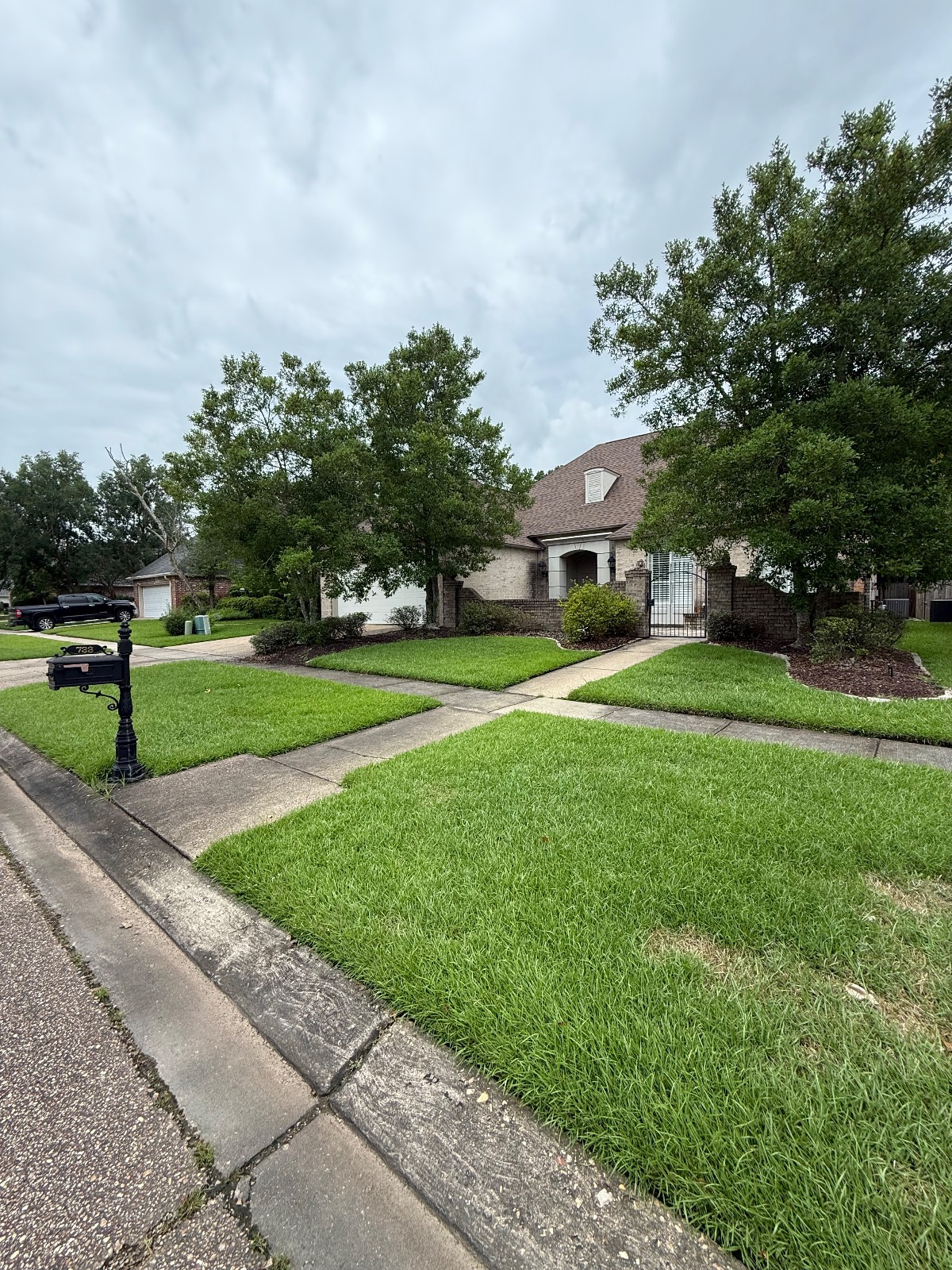 Lawn Mowing & Edging transformation Before