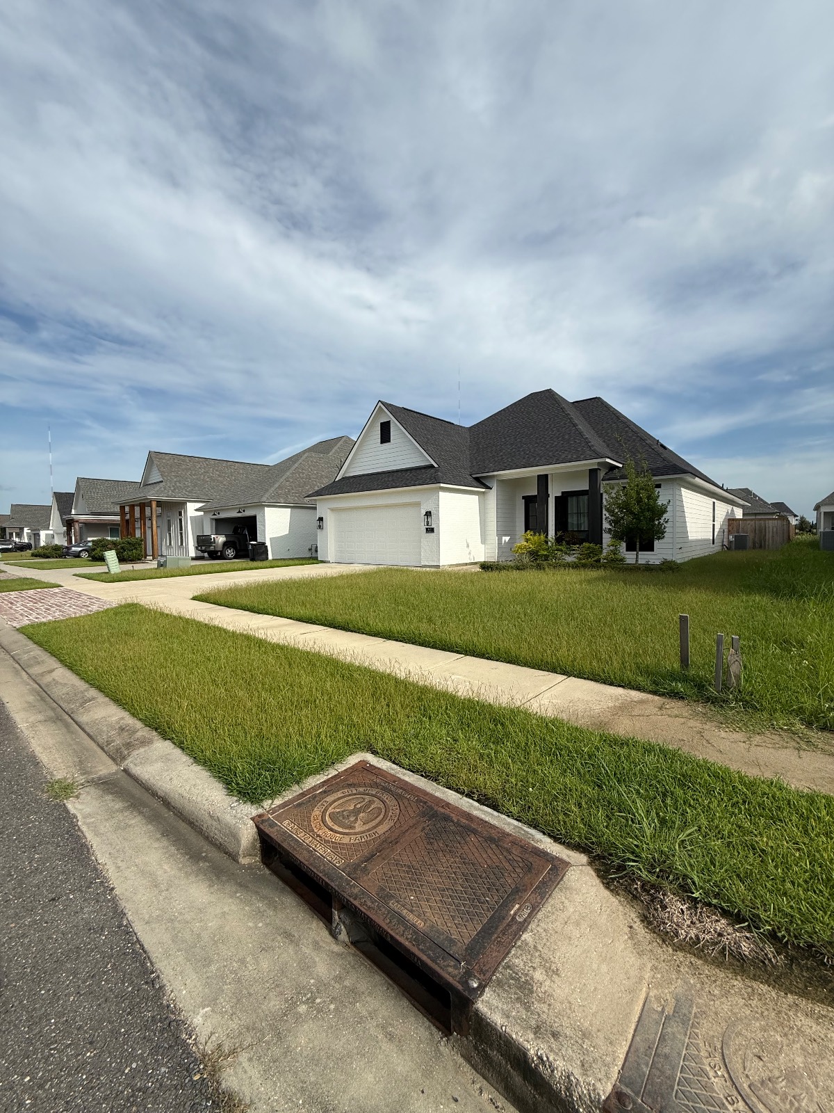 Lawn Mowing & Edging transformation Before