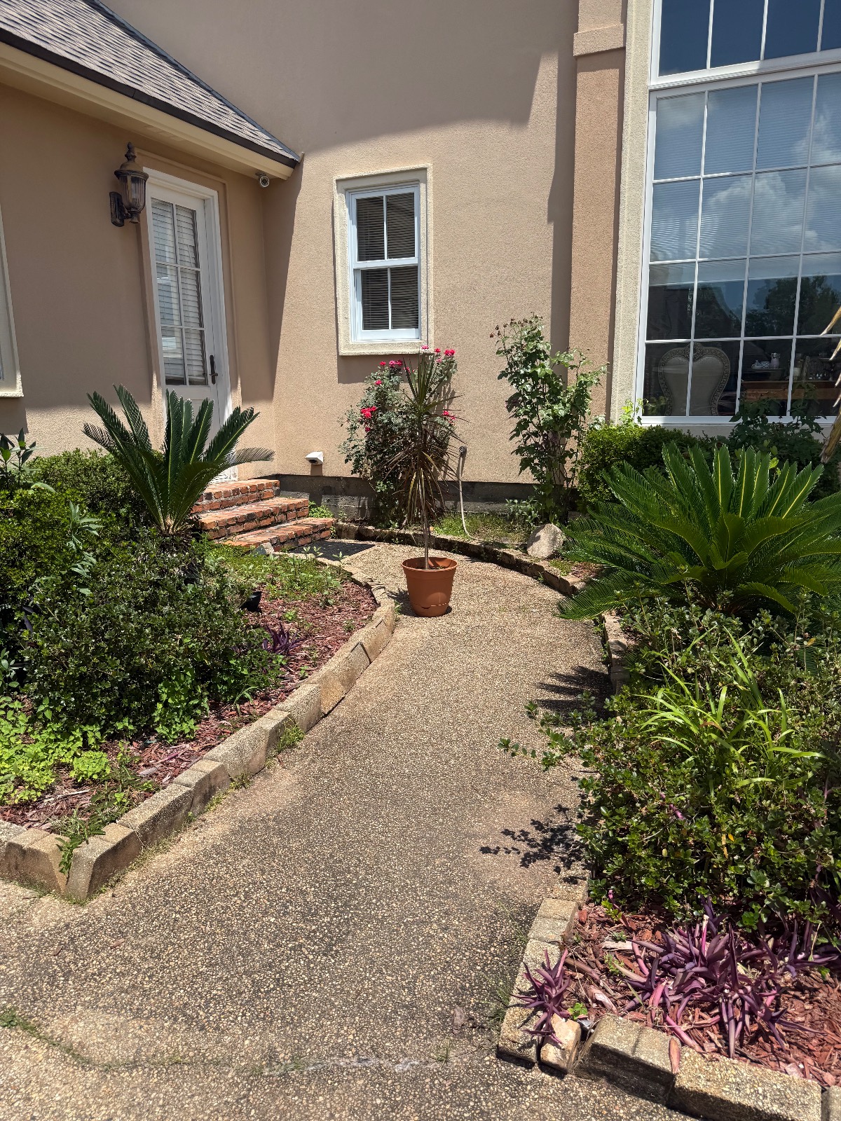 Mulching & Seasonal Cleanup transformation Before