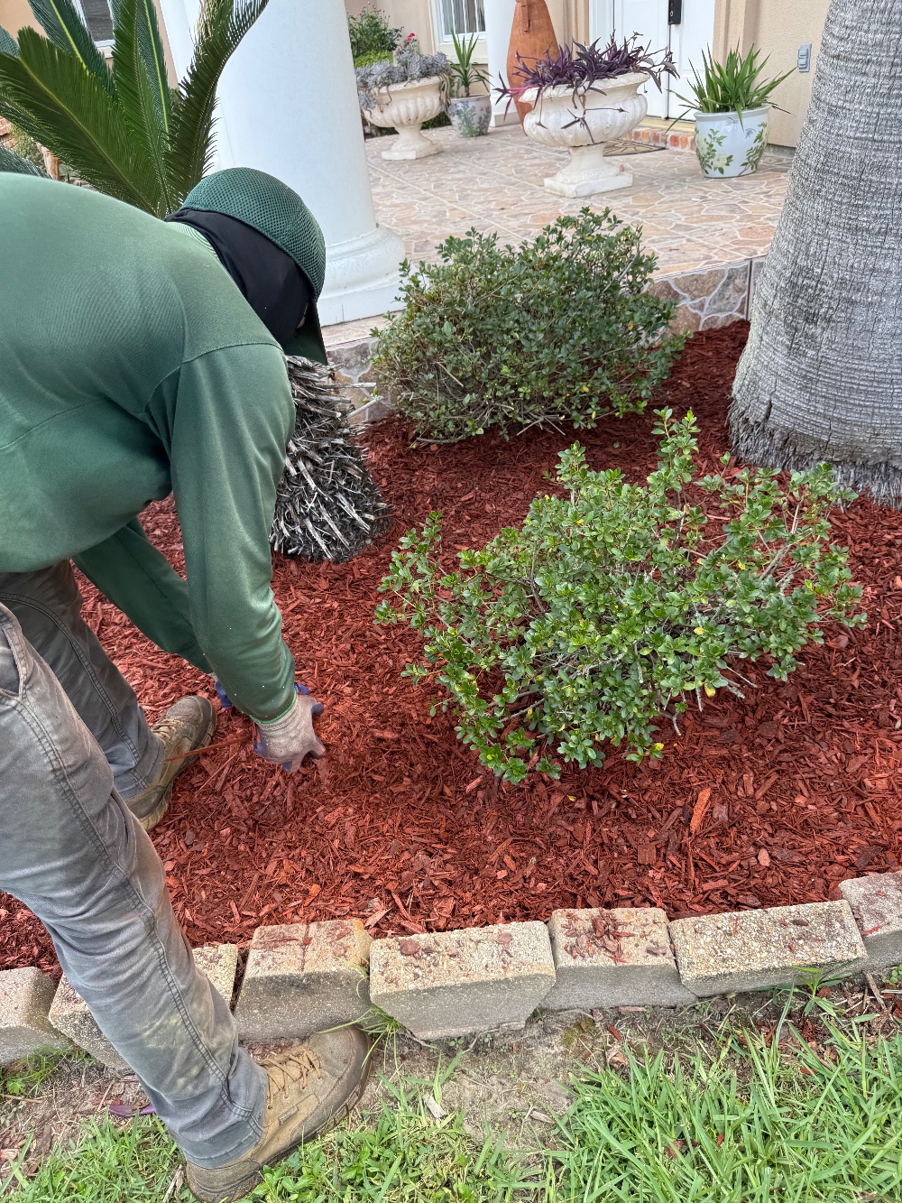 Seasonal Restoration